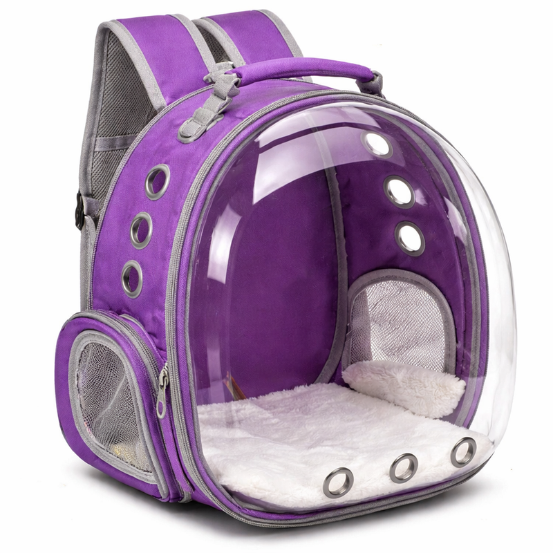 Carriers and strollers