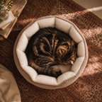 Danby Round Cat Bed in dark grey with a cat resting | The Fernby