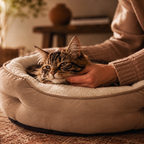 Danby Round Cat Bed with a cat resting, sherpa lining visible | The Fernby