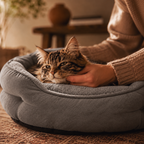 Danby Round Cat Bed with a cat curled asleep | The Fernby