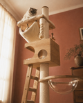 Luxury Multi-Level Cat Tree with Hammock & Scratching Posts | The Fernby