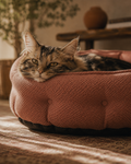 Cloud Nest Cat Bed | Luxury Plush Washable Cat Bed | The Fernby