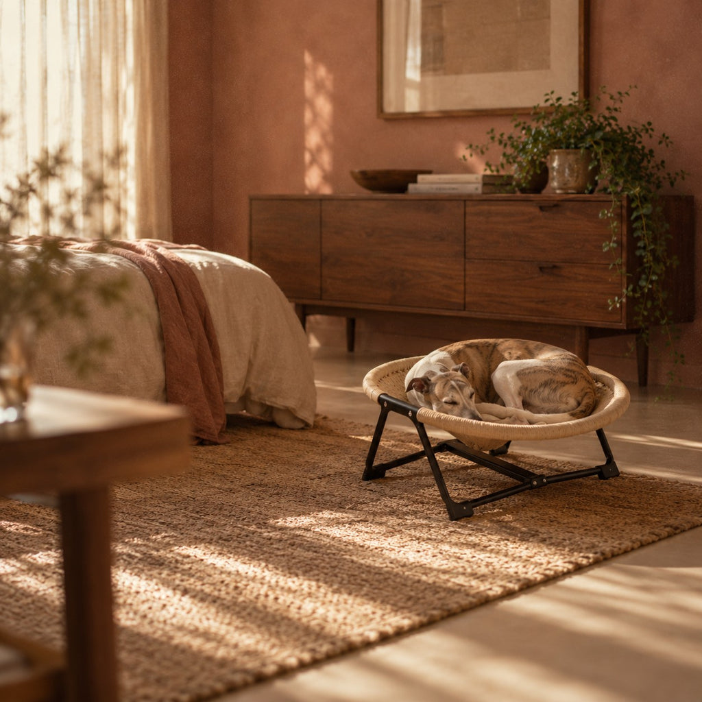 Harrow raised pet lounge bed in use at home | The Fernby