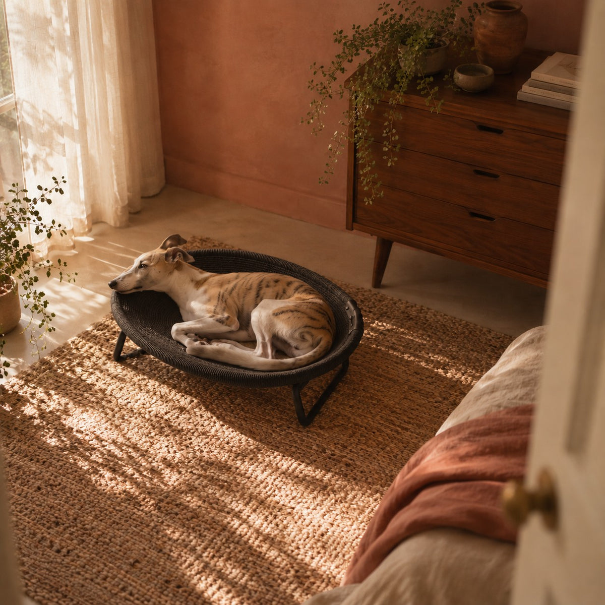 Harrow raised pet lounge bed in black in a home setting | The Fernby