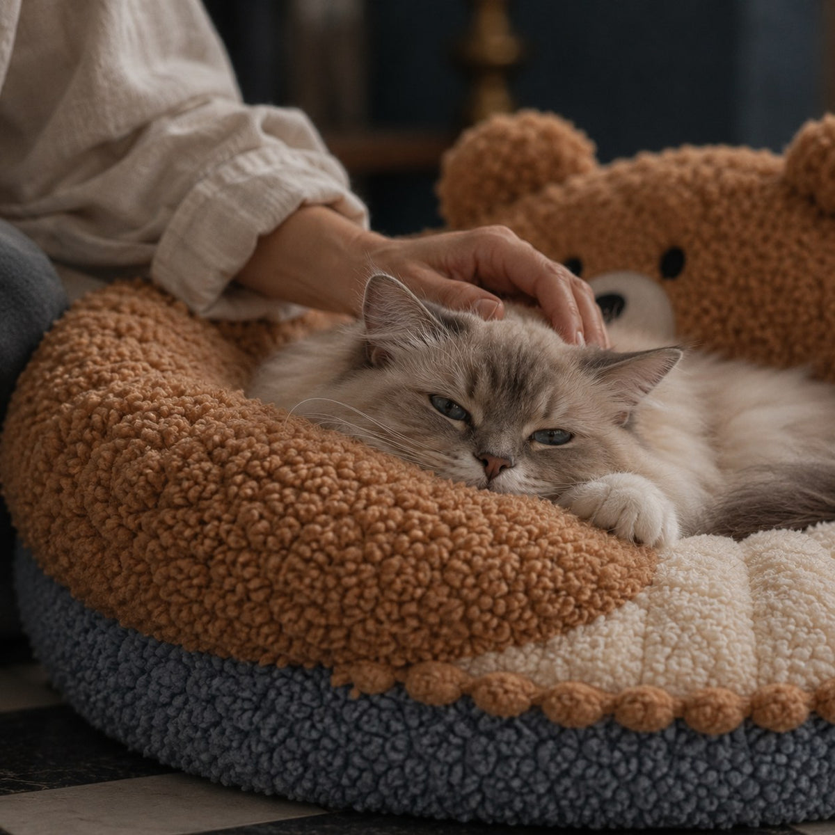 Sorrel bear-ear cat donut bed in coffee bear in use at home | The Fernby