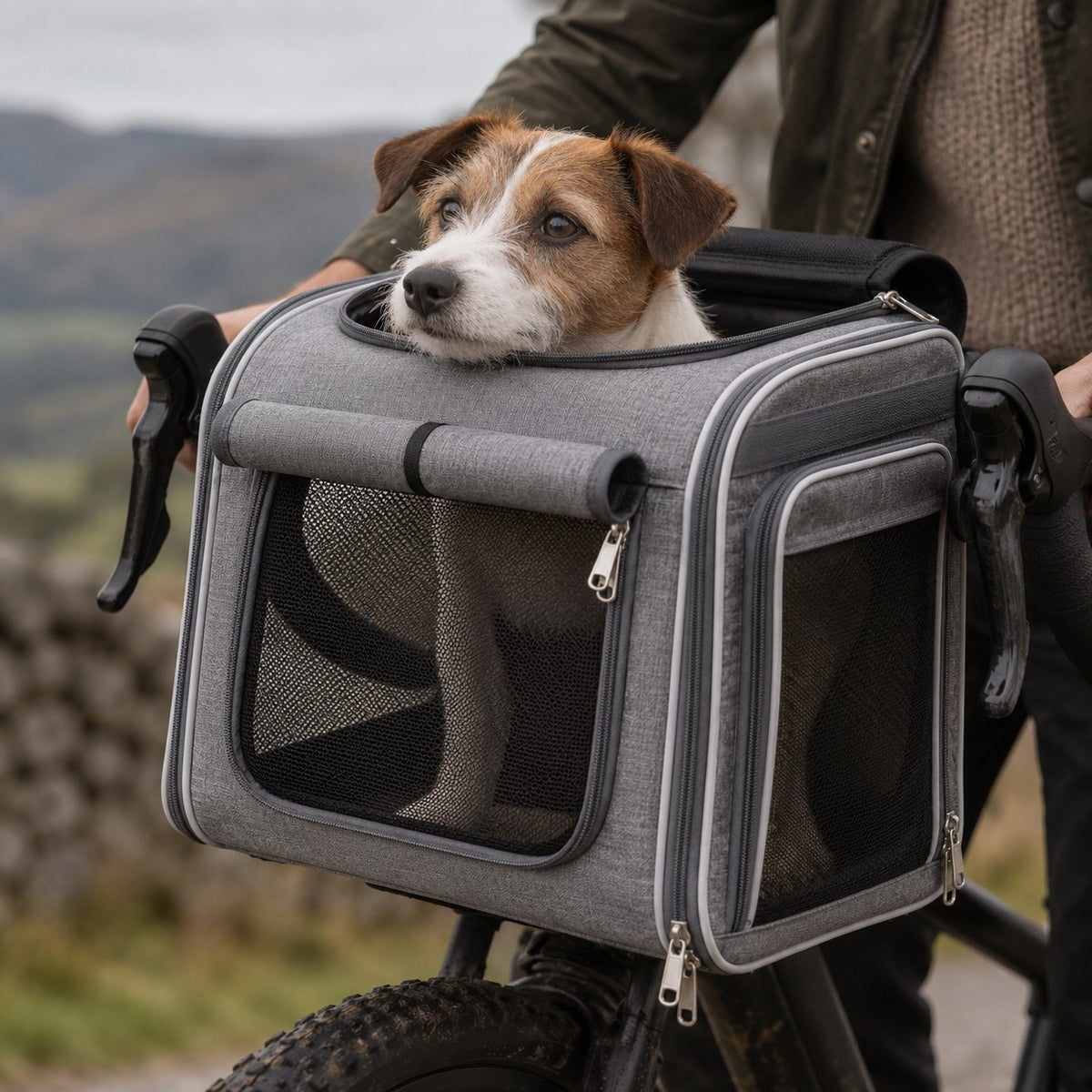 Tarset dog bike basket in grey in use | The Fernby