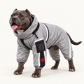 Moss full-coverage waterproof dog raincoat jumpsuit with hooded neckline and reflective detai, studio product photograph